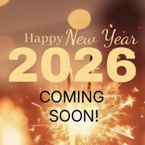 Vintage GIII Red San Francisco 49ers Hoodie Small